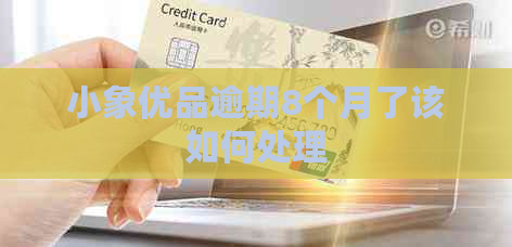 小象优品逾期8个月了该如何处理