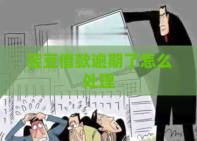 芸豆借款逾期了怎么处理