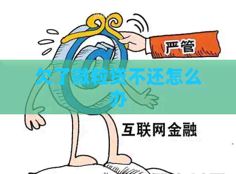 欠了微粒贷不还怎么办