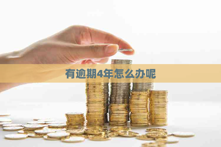 有逾期4年怎么办呢