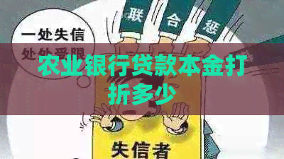 农业银行贷款本金打折多少