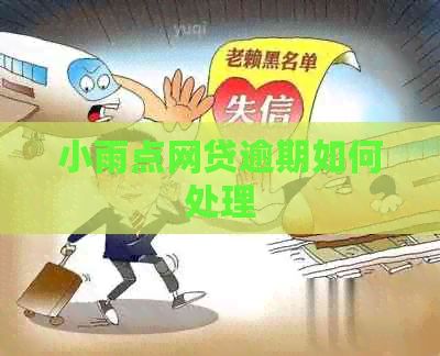 小雨点网贷逾期如何处理
