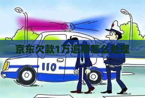 京东欠款1万逾期怎么处理