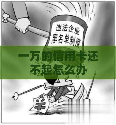 一万的信用卡还不起怎么办