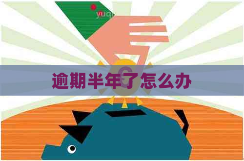 逾期半年了怎么办