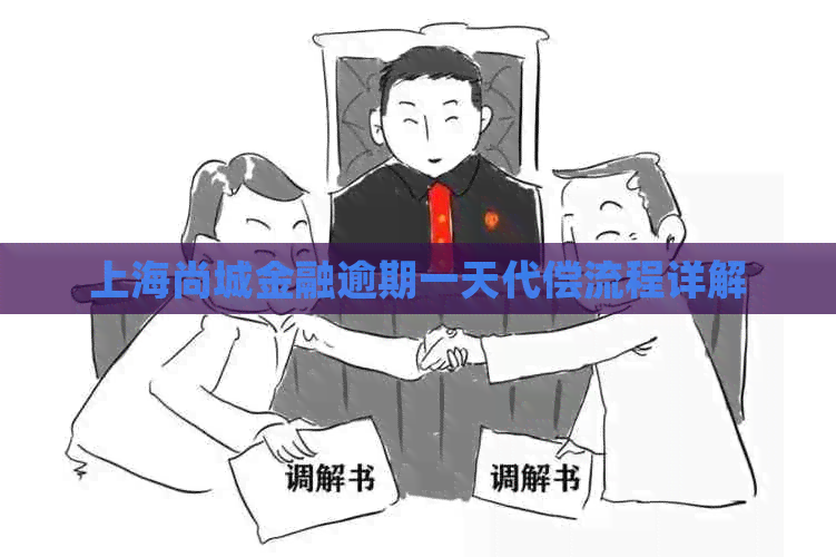 上海尚城金融逾期一天代偿流程详解
