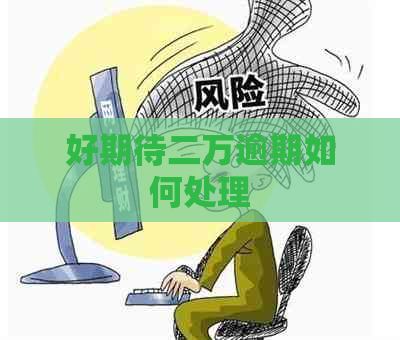 好期待二万逾期如何处理