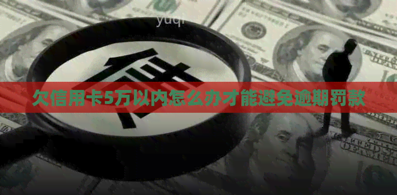 欠信用卡5万以内怎么办才能避免逾期罚款