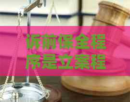 诉前保全程序是立案程序的一部分吗