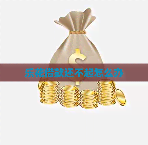 乐花借款还不起怎么办