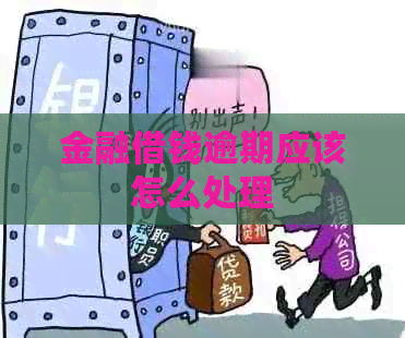 金融借钱逾期应该怎么处理
