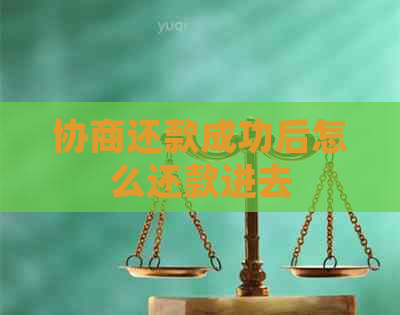 协商还款成功后怎么还款进去