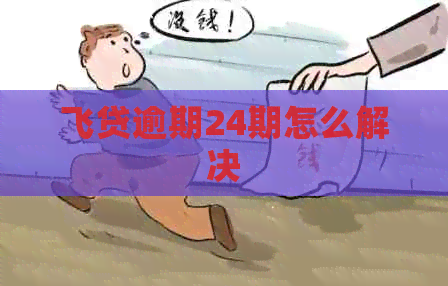 飞贷逾期24期怎么解决