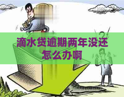 滴水贷逾期两年没还怎么办啊