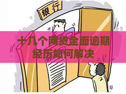十几个网贷全面逾期经历如何解决