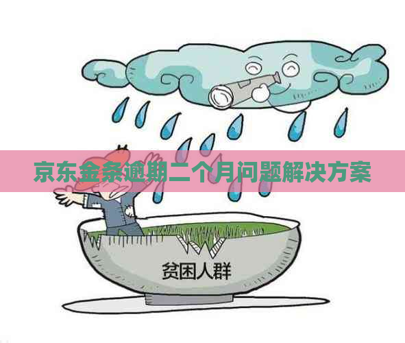京东金条逾期二个月问题解决方案