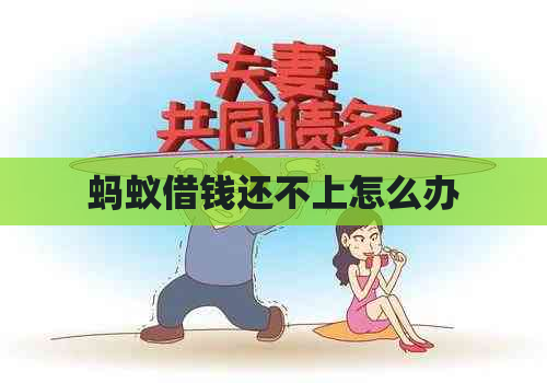蚂蚁借钱还不上怎么办