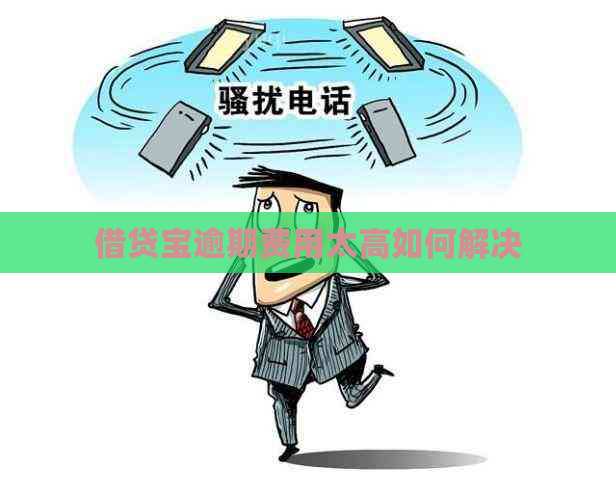 借贷宝逾期费用太高如何解决