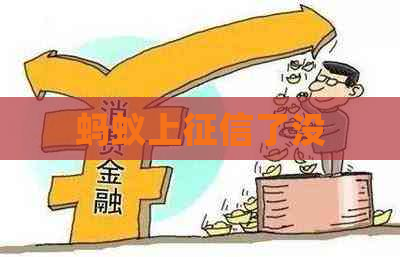 蚂蚁上了没