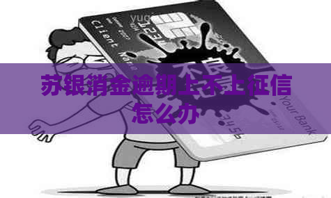 苏银消金逾期上不上怎么办
