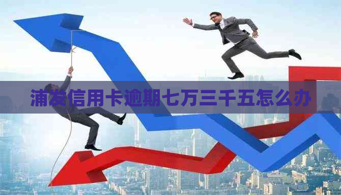浦发信用卡逾期七万三千五怎么办
