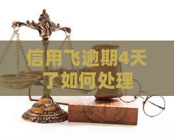 信用飞逾期4天了如何处理