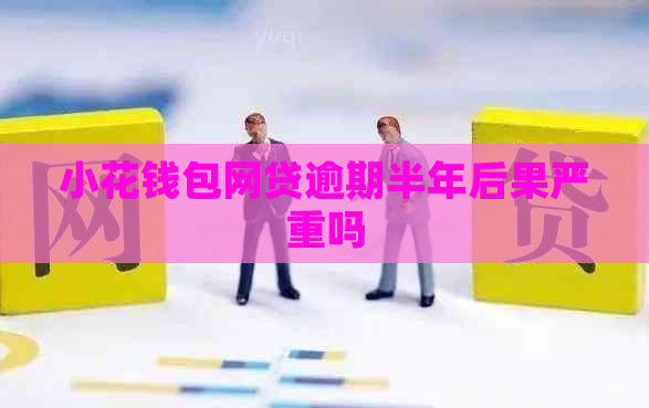 小花钱包网贷逾期半年后果严重吗