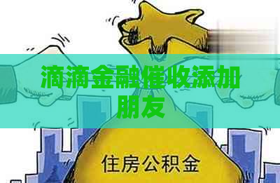 滴滴金融添加朋友