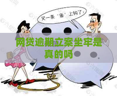 网贷逾期立案坐牢是真的吗