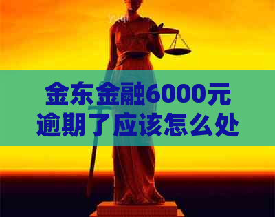 金东金融6000元逾期了应该怎么处理