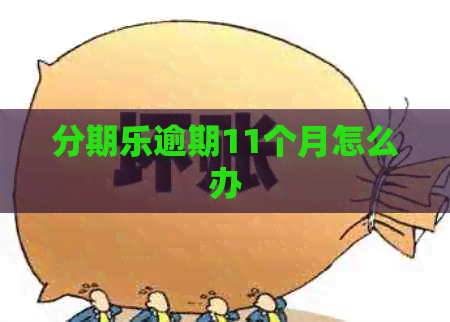 逾期11个月怎么办