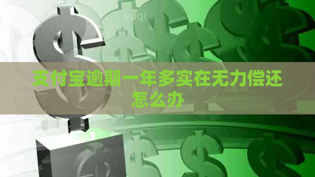 支付宝逾期一年多实在无力偿还怎么办