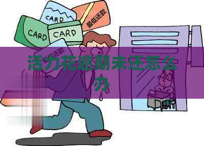 活力花逾期未还怎么办