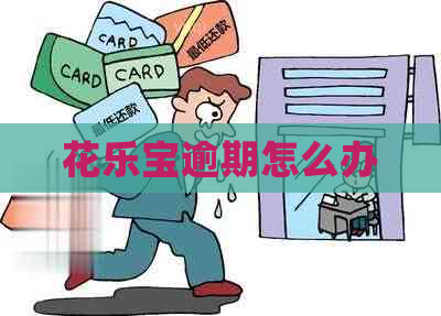 花乐宝逾期怎么办