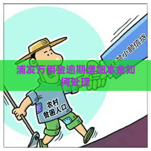 浦发万用金逾期增加本金如何处理