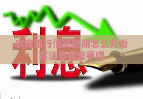 农商银行信贷逾期怎么办需要注意哪些事项