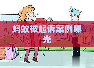 蚂蚁被起诉案例曝光