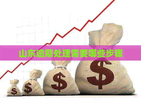 山东逾期处理需要哪些步骤