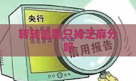 转转逾期只掉芝麻分吗