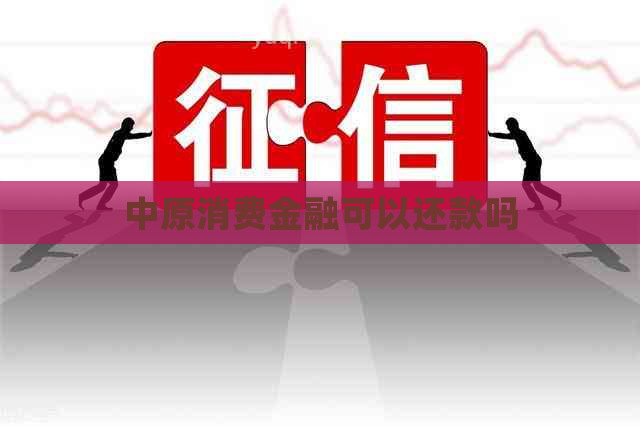 中原消费金融可以还款吗