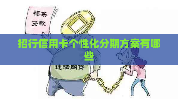 招行信用卡个性化分期方案有哪些