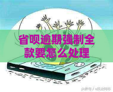 省呗逾期强制全款要怎么处理