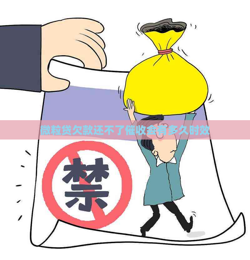 微粒贷欠款还不了会有多久时效