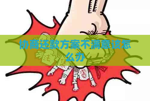 协商还款方案不满意该怎么办