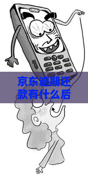 京东逾期还款有什么后果吗