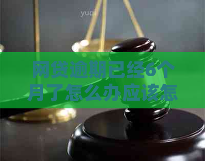网贷逾期已经6个月了怎么办应该怎么处理