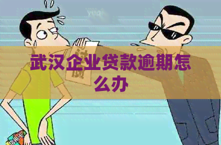 武汉企业贷款逾期怎么办