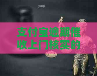 支付宝逾期上门核实的流程是什么