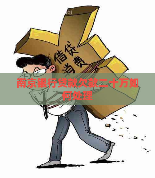 南京银行贷款欠款二十万如何处理