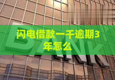 闪电借款一千逾期3年怎么